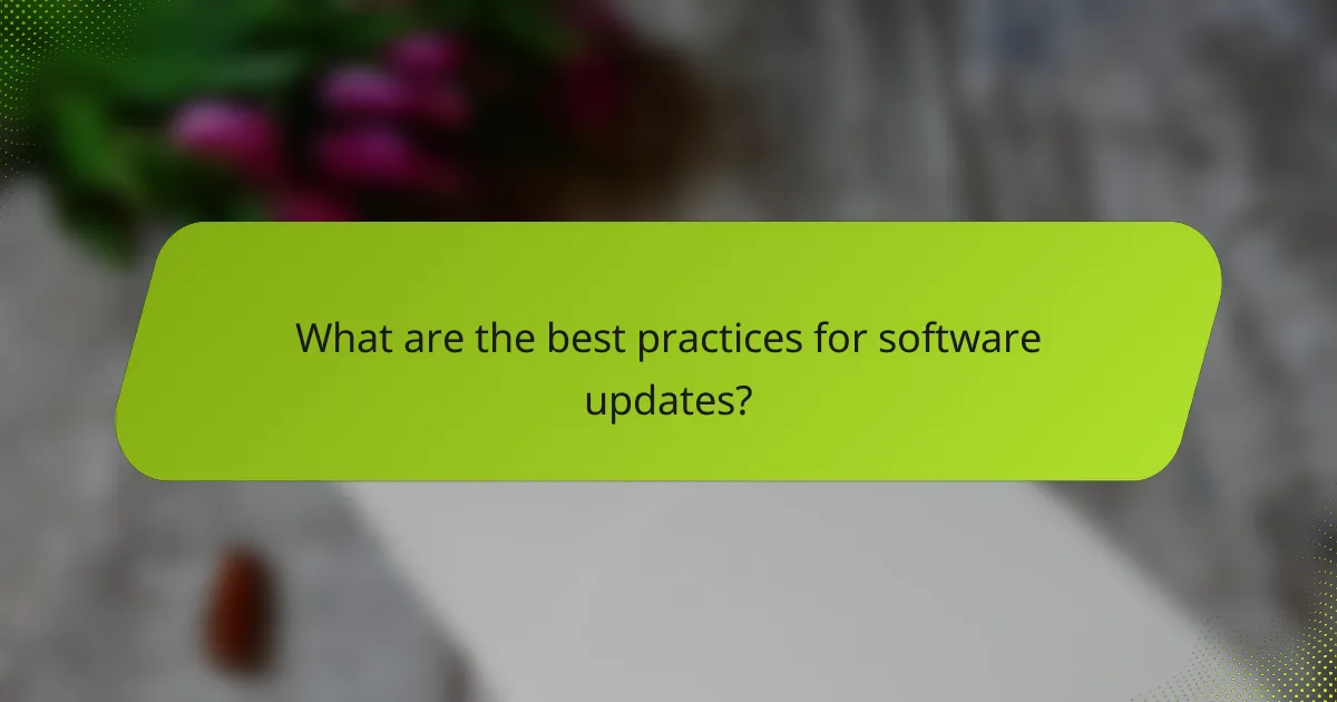 What are the best practices for software updates?