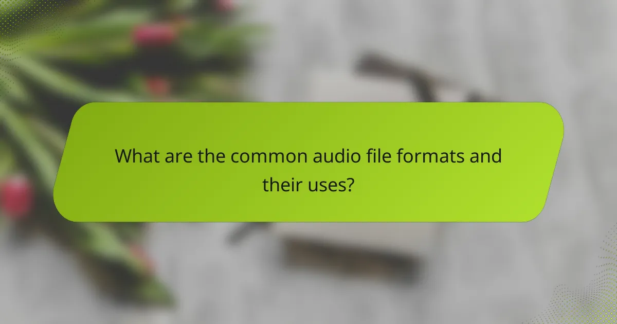What are the common audio file formats and their uses?